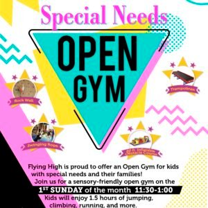 Special Needs Open Gym